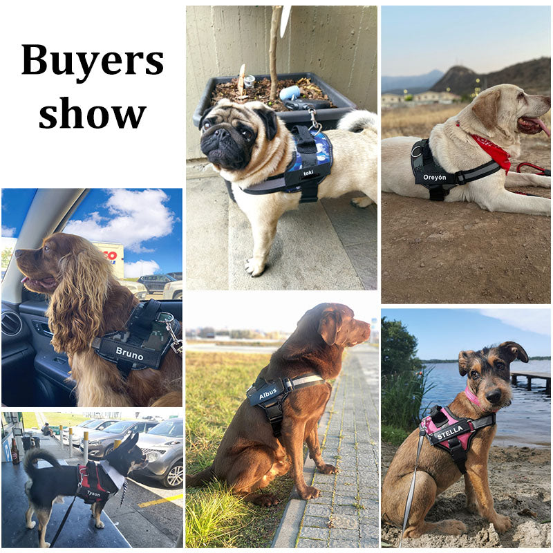 犬用ハーネス 反射通気性調節可能なペットハーネス 屋外ウォーキング犬用品